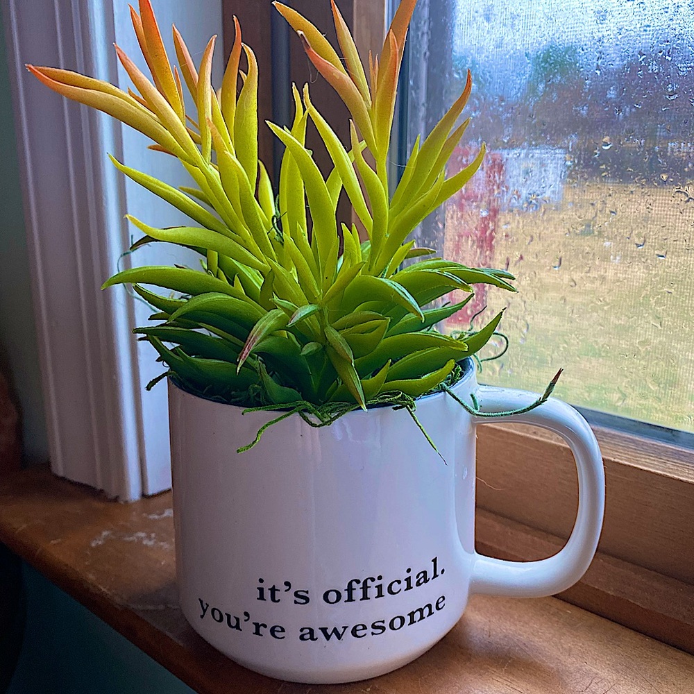 Classroom/Office Decor